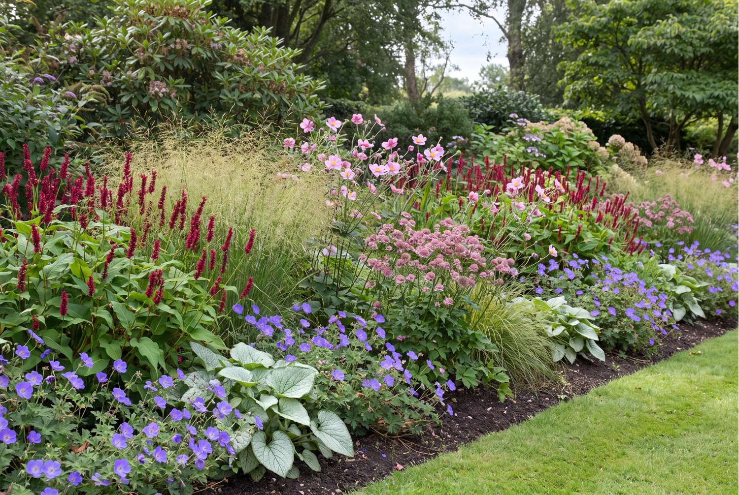 Perennapaketti 'Kukkia varjoon' (1,5-2m²)